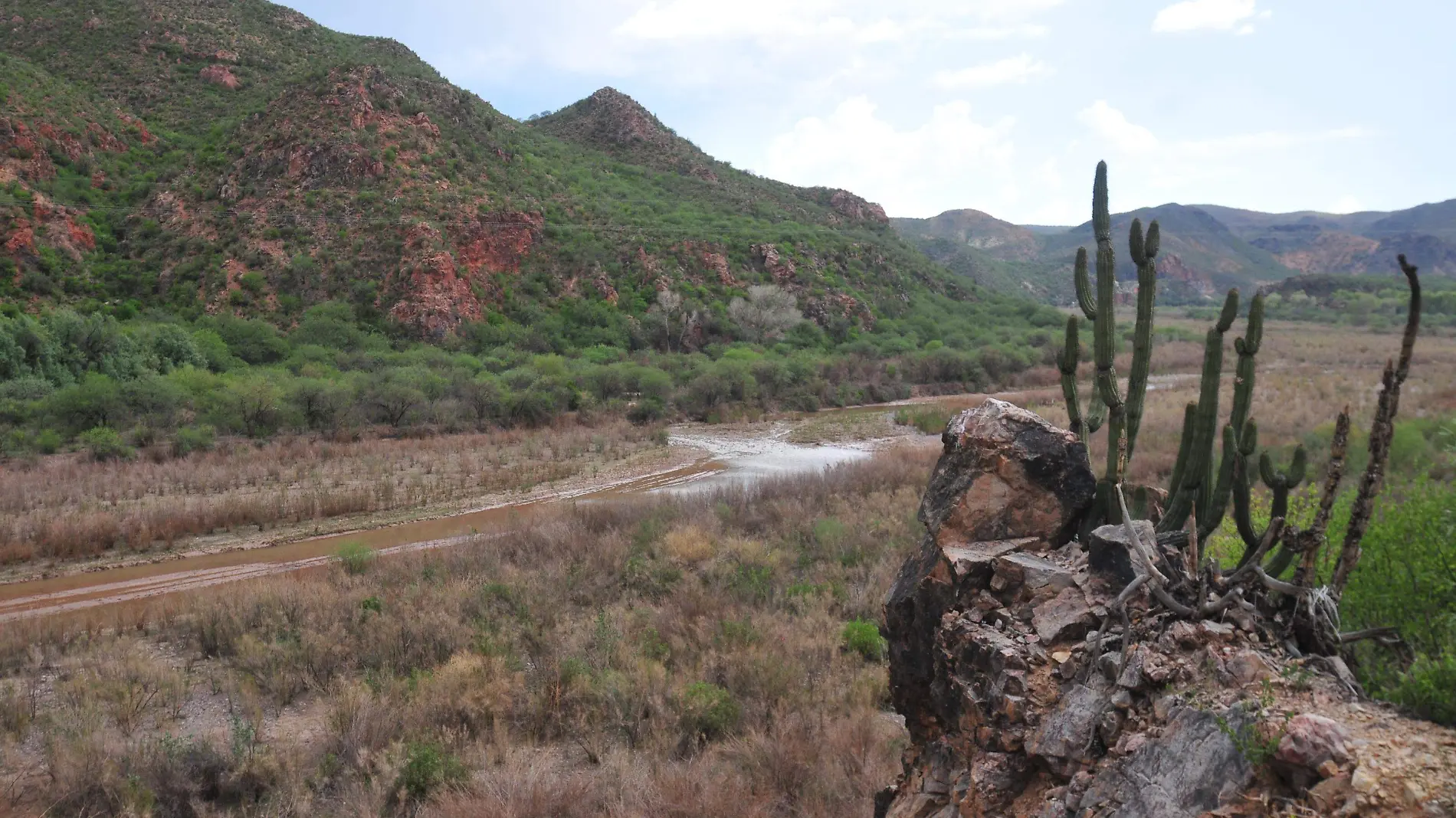 río-sonora-derrame-contaminación 4